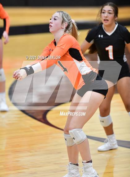 Thumbnail 2 in Springtown @ Aledo photogallery.