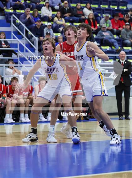 Thumbnail 3 in Ponder @ Brock (Brock Showcase) photogallery.
