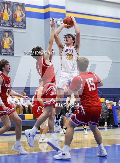 Thumbnail 2 in Ponder @ Brock (Brock Showcase) photogallery.