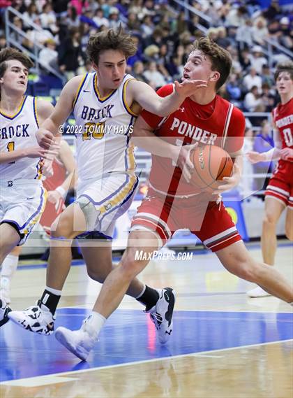Thumbnail 1 in Ponder @ Brock (Brock Showcase) photogallery.