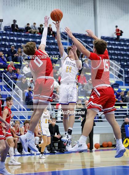 Thumbnail 1 in Ponder @ Brock (Brock Showcase) photogallery.