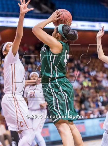 Thumbnail 3 in Northwest Catholic vs. Capital Prep (CIAC Class L Final) photogallery.