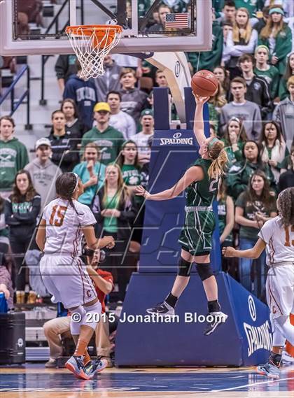 Thumbnail 1 in Northwest Catholic vs. Capital Prep (CIAC Class L Final) photogallery.