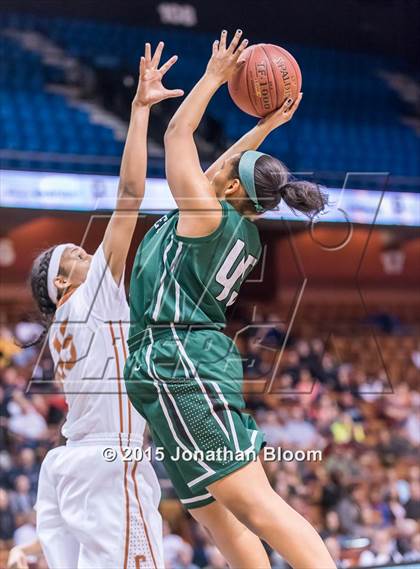 Thumbnail 1 in Northwest Catholic vs. Capital Prep (CIAC Class L Final) photogallery.