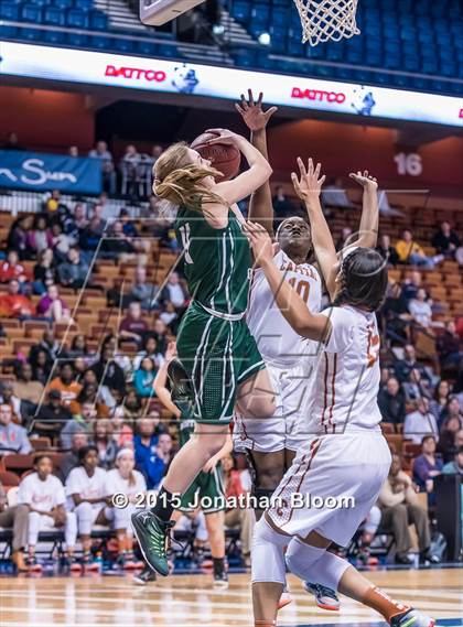 Thumbnail 3 in Northwest Catholic vs. Capital Prep (CIAC Class L Final) photogallery.