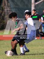 Photo from the gallery "St. Brendan @ Jackson"