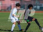 Photo from the gallery "St. Brendan @ Jackson"