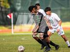 Photo from the gallery "St. Brendan @ Jackson"