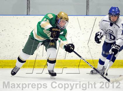 Thumbnail 2 in Darien vs. Notre Dame-West Haven (Carrano Cup Quarterfinal) photogallery.