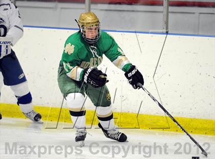 Thumbnail 3 in Darien vs. Notre Dame-West Haven (Carrano Cup Quarterfinal) photogallery.
