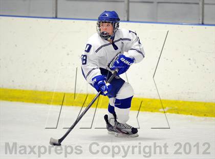 Thumbnail 1 in Darien vs. Notre Dame-West Haven (Carrano Cup Quarterfinal) photogallery.