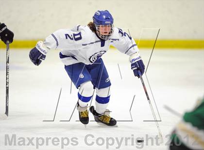 Thumbnail 2 in Darien vs. Notre Dame-West Haven (Carrano Cup Quarterfinal) photogallery.
