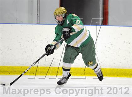 Thumbnail 3 in Darien vs. Notre Dame-West Haven (Carrano Cup Quarterfinal) photogallery.