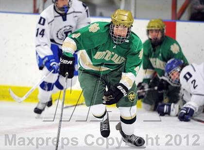 Thumbnail 1 in Darien vs. Notre Dame-West Haven (Carrano Cup Quarterfinal) photogallery.