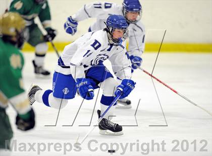 Thumbnail 1 in Darien vs. Notre Dame-West Haven (Carrano Cup Quarterfinal) photogallery.