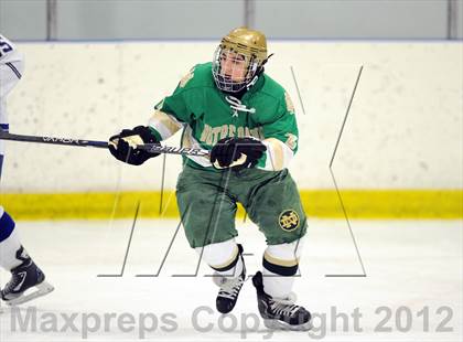 Thumbnail 3 in Darien vs. Notre Dame-West Haven (Carrano Cup Quarterfinal) photogallery.