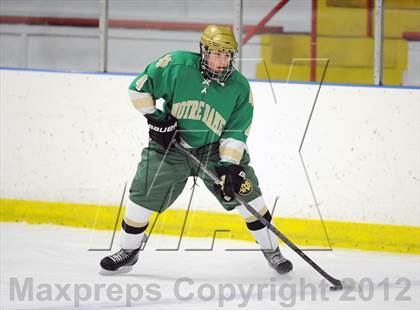 Thumbnail 1 in Darien vs. Notre Dame-West Haven (Carrano Cup Quarterfinal) photogallery.