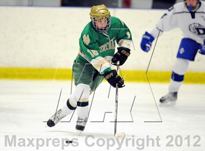 Thumbnail 1 in Darien vs. Notre Dame-West Haven (Carrano Cup Quarterfinal) photogallery.