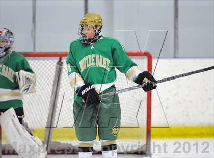 Thumbnail 2 in Darien vs. Notre Dame-West Haven (Carrano Cup Quarterfinal) photogallery.