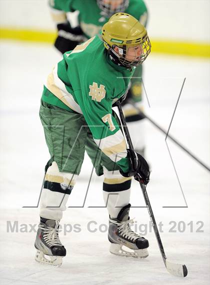 Thumbnail 1 in Darien vs. Notre Dame-West Haven (Carrano Cup Quarterfinal) photogallery.