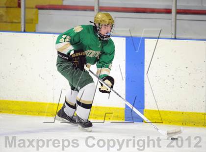 Thumbnail 1 in Darien vs. Notre Dame-West Haven (Carrano Cup Quarterfinal) photogallery.