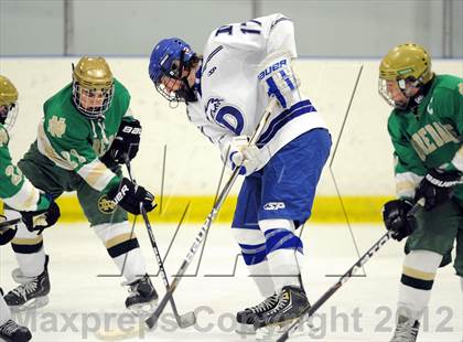 Thumbnail 3 in Darien vs. Notre Dame-West Haven (Carrano Cup Quarterfinal) photogallery.