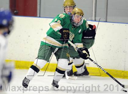 Thumbnail 1 in Darien vs. Notre Dame-West Haven (Carrano Cup Quarterfinal) photogallery.