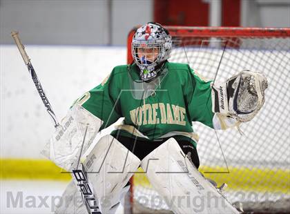 Thumbnail 1 in Darien vs. Notre Dame-West Haven (Carrano Cup Quarterfinal) photogallery.