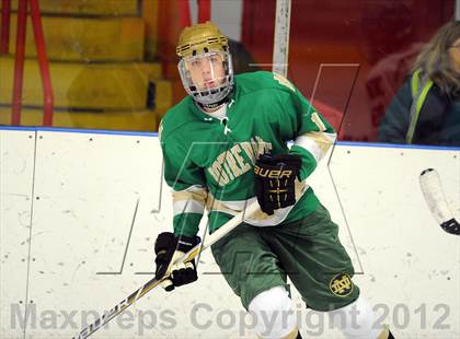 Thumbnail 2 in Darien vs. Notre Dame-West Haven (Carrano Cup Quarterfinal) photogallery.