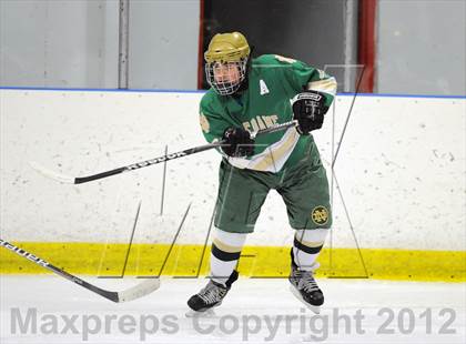 Thumbnail 1 in Darien vs. Notre Dame-West Haven (Carrano Cup Quarterfinal) photogallery.