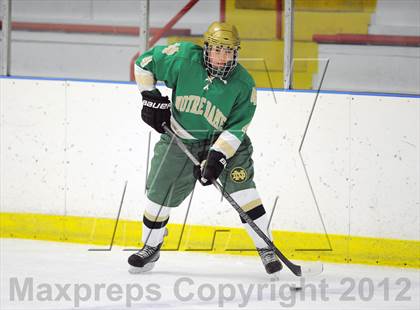 Thumbnail 2 in Darien vs. Notre Dame-West Haven (Carrano Cup Quarterfinal) photogallery.