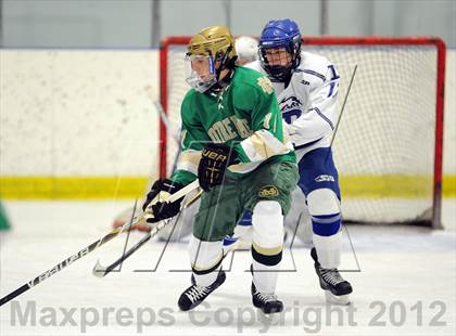 Thumbnail 2 in Darien vs. Notre Dame-West Haven (Carrano Cup Quarterfinal) photogallery.