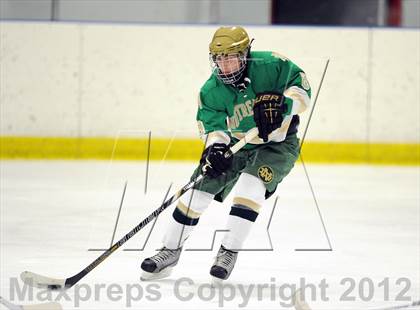 Thumbnail 1 in Darien vs. Notre Dame-West Haven (Carrano Cup Quarterfinal) photogallery.
