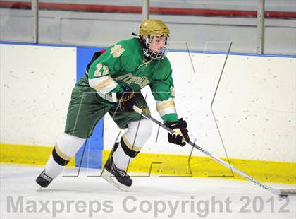 Thumbnail 3 in Darien vs. Notre Dame-West Haven (Carrano Cup Quarterfinal) photogallery.