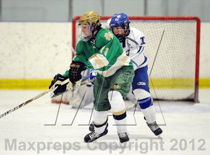 Thumbnail 3 in Darien vs. Notre Dame-West Haven (Carrano Cup Quarterfinal) photogallery.