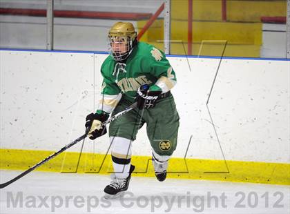 Thumbnail 3 in Darien vs. Notre Dame-West Haven (Carrano Cup Quarterfinal) photogallery.