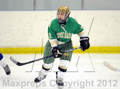 Thumbnail 1 in Darien vs. Notre Dame-West Haven (Carrano Cup Quarterfinal) photogallery.