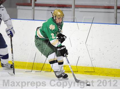 Thumbnail 1 in Darien vs. Notre Dame-West Haven (Carrano Cup Quarterfinal) photogallery.