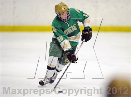 Thumbnail 1 in Darien vs. Notre Dame-West Haven (Carrano Cup Quarterfinal) photogallery.