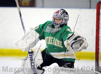 Thumbnail 3 in Darien vs. Notre Dame-West Haven (Carrano Cup Quarterfinal) photogallery.