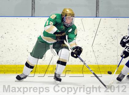 Thumbnail 1 in Darien vs. Notre Dame-West Haven (Carrano Cup Quarterfinal) photogallery.
