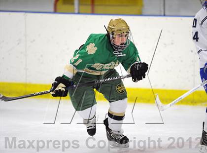 Thumbnail 1 in Darien vs. Notre Dame-West Haven (Carrano Cup Quarterfinal) photogallery.