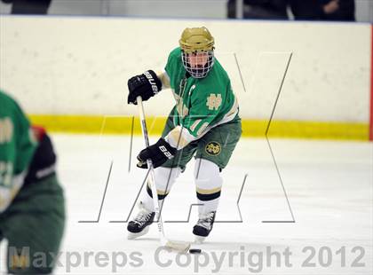 Thumbnail 1 in Darien vs. Notre Dame-West Haven (Carrano Cup Quarterfinal) photogallery.