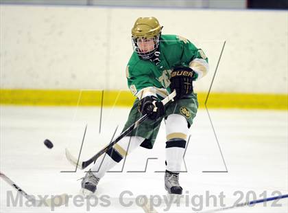 Thumbnail 2 in Darien vs. Notre Dame-West Haven (Carrano Cup Quarterfinal) photogallery.