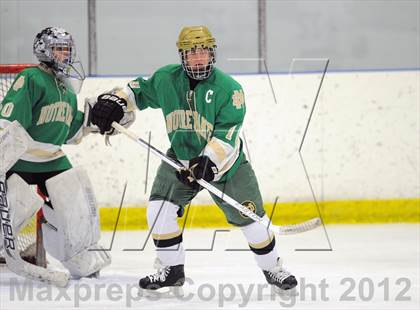 Thumbnail 2 in Darien vs. Notre Dame-West Haven (Carrano Cup Quarterfinal) photogallery.
