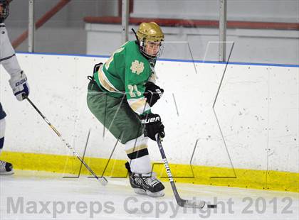 Thumbnail 3 in Darien vs. Notre Dame-West Haven (Carrano Cup Quarterfinal) photogallery.