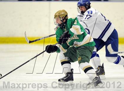 Thumbnail 1 in Darien vs. Notre Dame-West Haven (Carrano Cup Quarterfinal) photogallery.