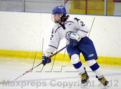 Thumbnail 2 in Darien vs. Notre Dame-West Haven (Carrano Cup Quarterfinal) photogallery.