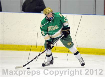 Thumbnail 1 in Darien vs. Notre Dame-West Haven (Carrano Cup Quarterfinal) photogallery.