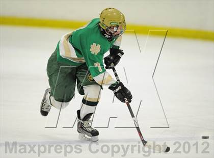 Thumbnail 1 in Darien vs. Notre Dame-West Haven (Carrano Cup Quarterfinal) photogallery.